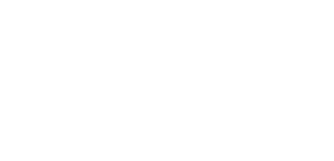 Nascar Brasil